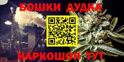 крисы Славгород