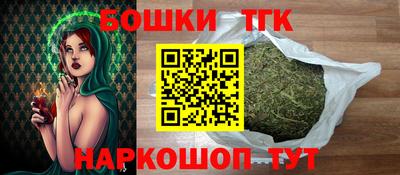 крисы Славгород