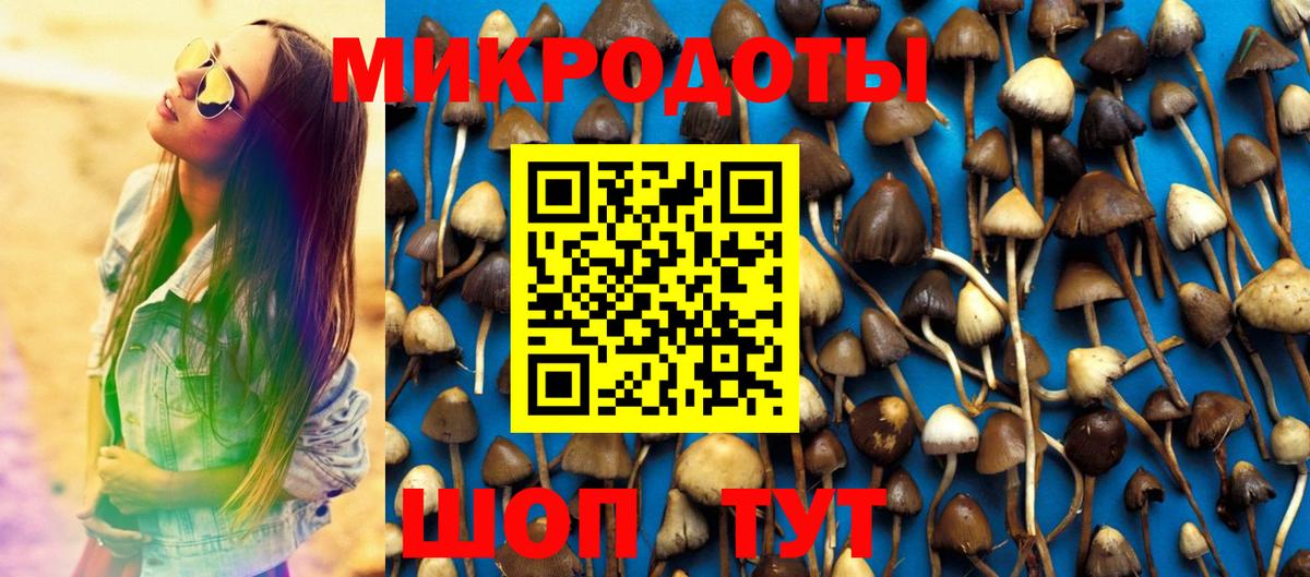 Псилоцибиновые грибы Psilocybine cubensis  Вход с VPN  Галлюциногенные грибы ЛСД  Орёл 